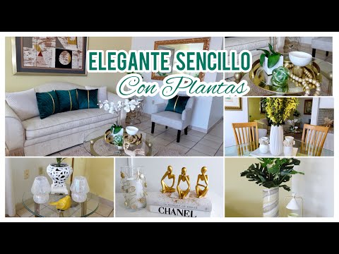 COMO DECORAR SALA Y COMEDOR JUNTOS 🌿 CON PLANTAS QUE SE SIENTA ELEGANTE Y CALIDO