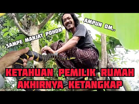 KETAHUAN PEMILIK RUMAH AKHIRNYA KETANGKAP