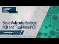 PCR Process and Principles