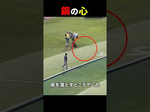 動じないカメラマン😱