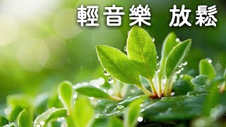☀️ 寧靜的早晨 | 潺潺溪水聲，輕柔的鳥鳴聲，開啟輕鬆的一天，輕音樂 放鬆