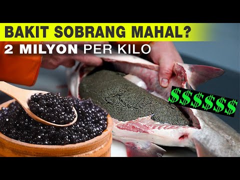 Bakit Sobrang Mahal? 2 Milyon Per Kilo