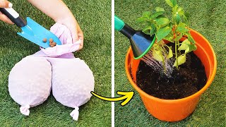 Experimente estas ideias de jardins e surpreenda-se com os resultados
