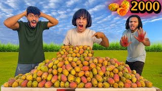 كلنا اكبر كميه تين شوكي في العالم بقشره ( تجربه ندمنا عليها)!😱