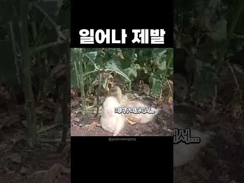 잠이든 친구..