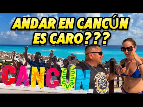 ASI LUCEN LAS PLAYAS DE CANCUN 🏖️✅| 26 DE NOVIEMBRE 🗓️| 📍PLAYA DELFINES 🐬