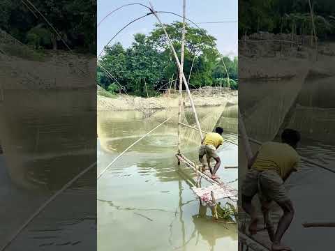 big fish#fishing #farming #fishing #funny 😱😱