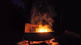 Bald Eagle Along the Way Campfire Q&A