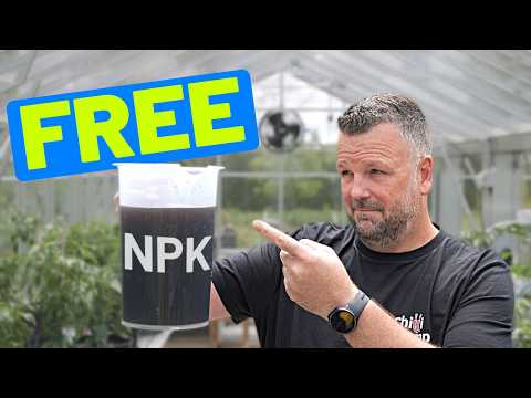 DIY Organic Fertilizer: FREE and Easy!