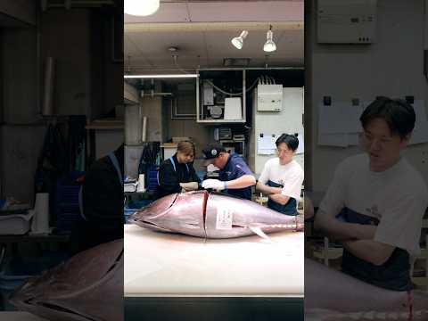 Cut the 106 kg TUNA with the sharp knife.🔪✨@tsuripichi_tv #knife #sharpening #sharpener #asmr