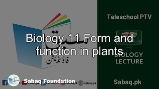 Biology 11 Form and function in plants