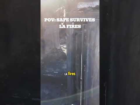 Dudes safe survived the LA fires