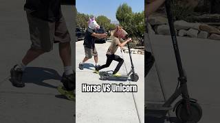 Angry Unicorn VS Ugly Horse