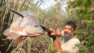 🐠 Fishing hunting 🎣 with Homemade Speargun!! mudassir fishing