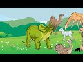 Creation Story and Adam's Role
