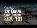 Understanding Coral and Coral Bleaching