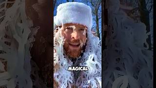 Why Snow Feels Like Magic? #shorts #snow #facts