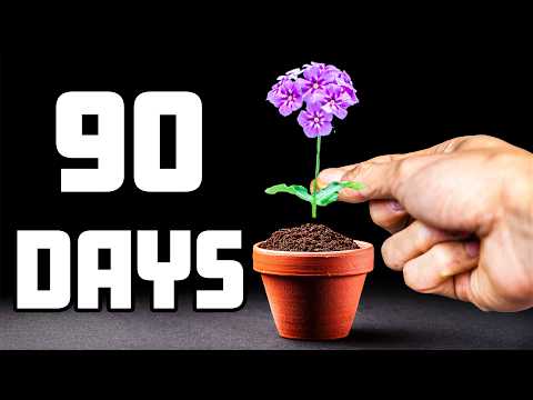From Seed to Flame: A Phlox Flower Time-Lapse