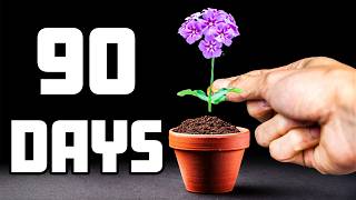 Growing Phlox Flower from Seed to Flame (Time-Lapse)