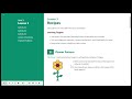 Ratios and Patterns in Geometry