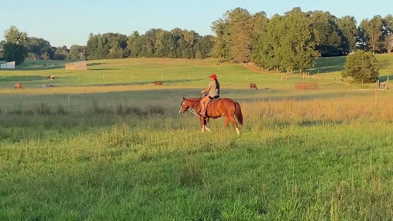 Video 1