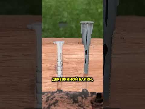 ВОТ ЧТО ПРОИСХОДИТ ВНУТРИ ДЕРЕВА