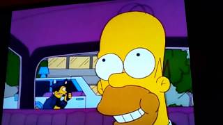 Die Simpsons Teil 5