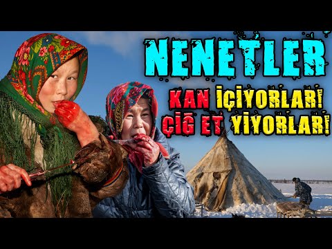 -70°C'de YAŞAMAK İÇİN ÜREMEK ZORUNDA OLAN GÖÇEBELERİN YAŞAMI! -  NENETSLER RUSYA YAMAL - BELGESEL