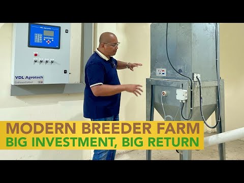 MODERN CHICKEN BREEDER FARM, BIG INVESTMENT, BETTER PERFORMANCE, BIG RETURN ON INVESTMENT