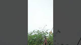 फिर से हुई बरसात