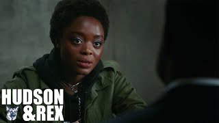 Hudson and Rex Season 2024 | The Date Escape | Best American Police And Crime Movies