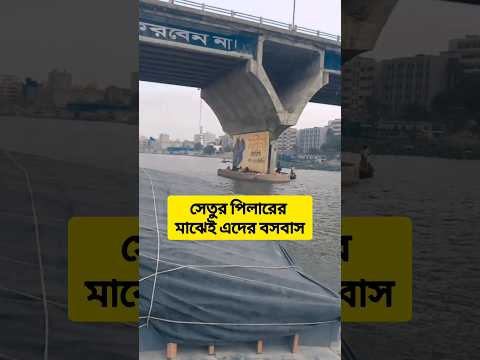 সেতুর পিলারের মাঝেই এদের বসবাস #Theyliveunderbridge #poorpeoples #government #politics #shorts