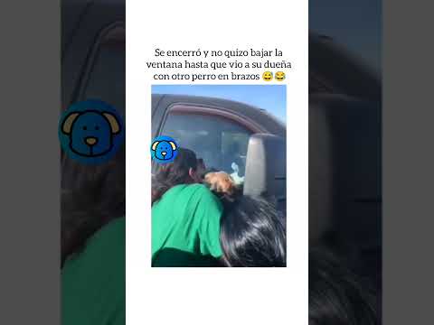 El perrito mรกs celoso del mundo ๐ | Tu Amigo Fiel