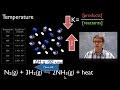 Chemistry Essentials: Equilibrium Disturbances
