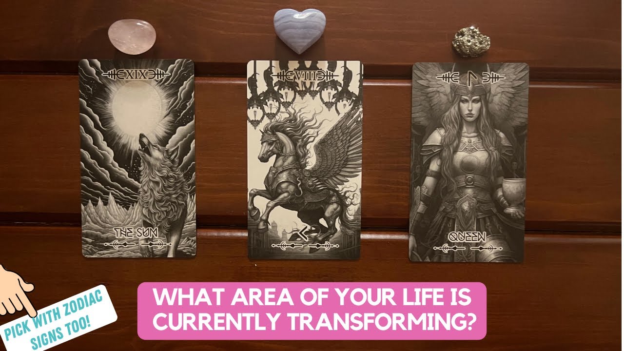 What Area Of Your Life is Currently Transforming