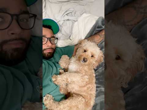 I Asked My Dog If She Loves Me and Her Reaction is Priceless