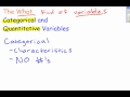 Understanding Quantitative and Categorical Variables