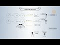 Understanding Angles and Their Relationships