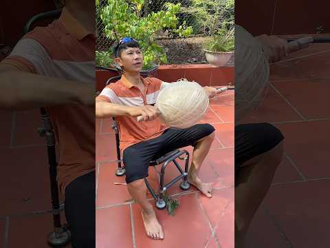 Liệu thả diều sáo trong nhà thì sẽ thế nào đây #kite #patang #layangan #shorts #viral #funny