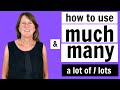 Using 'Much' and 'Many' in English