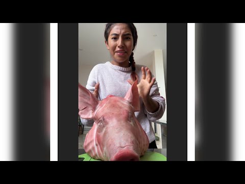 Preparemos queso de chancho 🐷🤤(fácil)