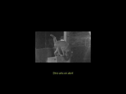 Xavibo - Todo se va