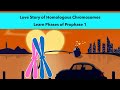 Meiosis and Chromosome Behavior