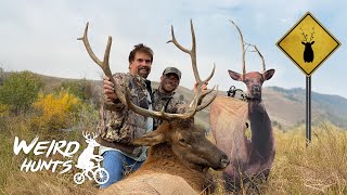 Wading The Creeks For Big Bull Elk! Weird Hunts Episode 5