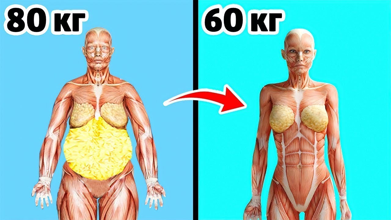 -10 кг? Легко! Кардио тренировка без прыжков, без инвентаря для полных