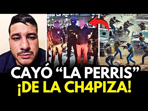 ¡ÚLTIMA HORA! REPORTAN DETENCIÓN DE 'EL GÜERITO' Y 'LA PERRIS', LÍDERES DE LA CHAPIZA, EN MOCORITO