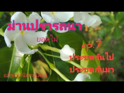 นวนิยายเสียงม่านปรารถนาep.717567อภิชญานิยายเสียง