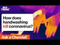 Understanding Virus Membranes and Soap Interaction