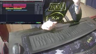 Twenty One Pilots "Trees" - Roli Seaboard Cover