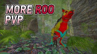 Roo Part 2 👀 | SENT | Highlights #8
